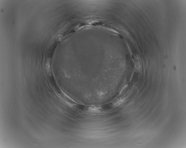 X0000074040573200609111742