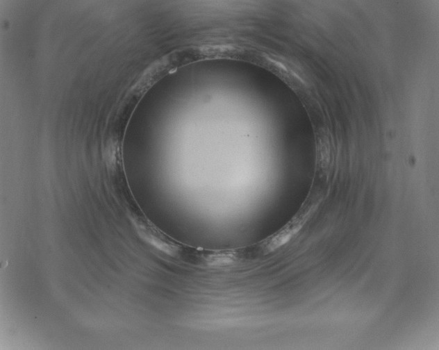 X0000074040574200609111742