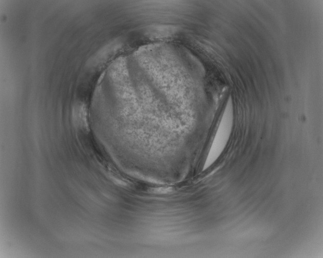 X0000074040575200609111742