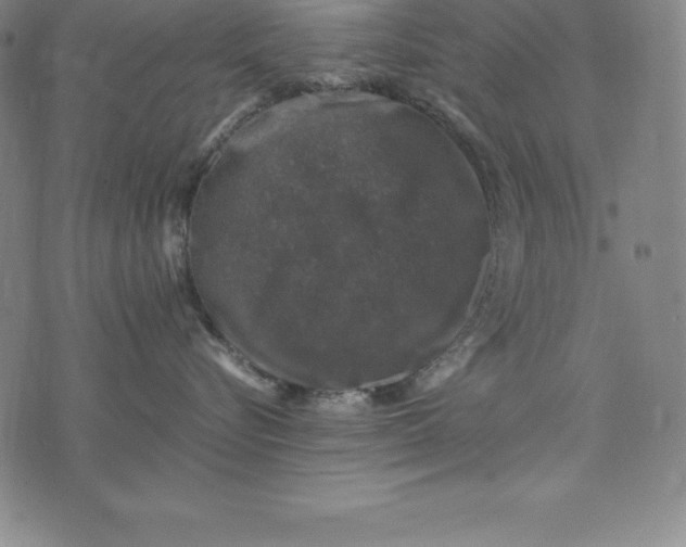 X0000074040576200609111742