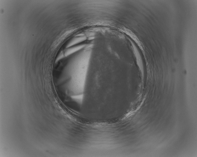 X0000074040577200609111741