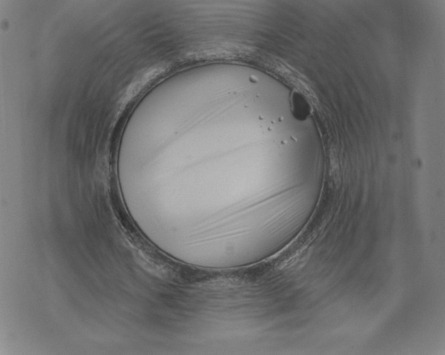 X0000074040578200609111741