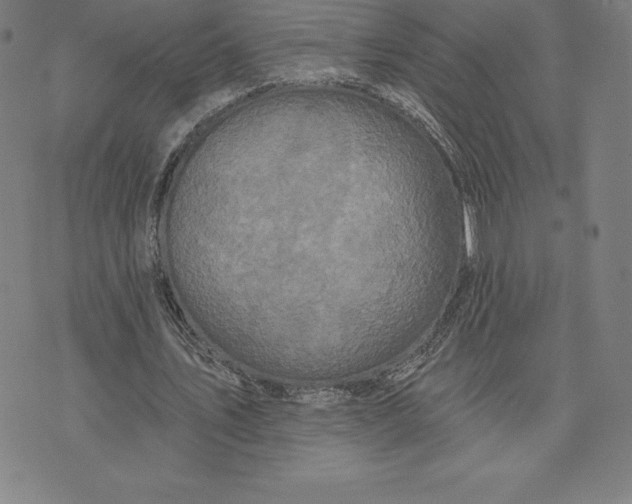 X0000074040579200609111741