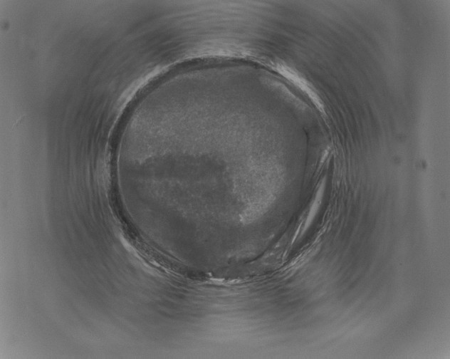 X0000074040580200609111741