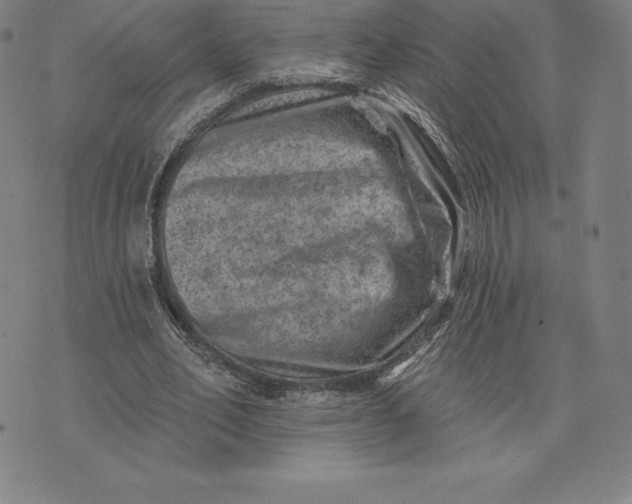 X0000074040582200609111741