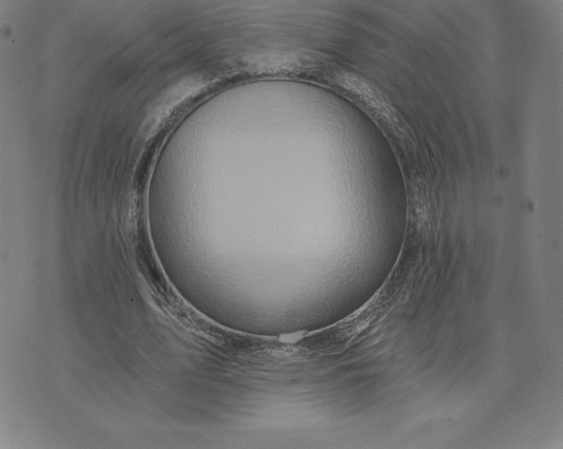 X0000074040583200609111741