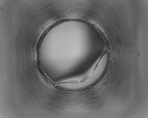 X0000074040584200609111741