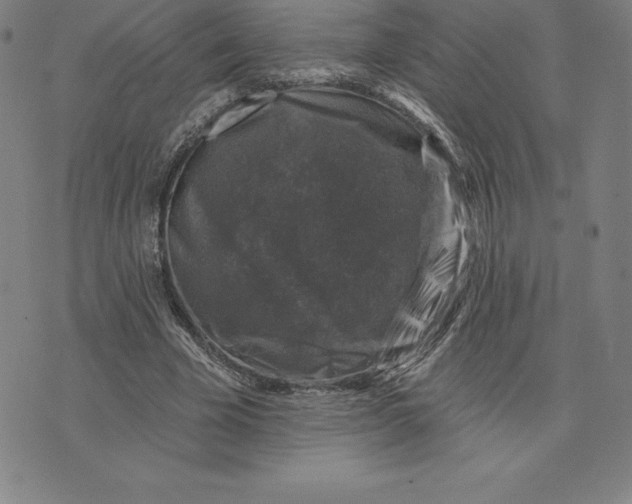 X0000074040585200609111741