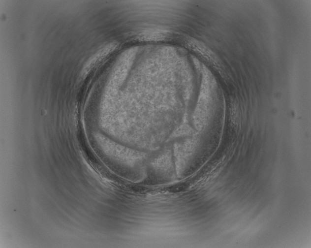 X0000074040586200609111741