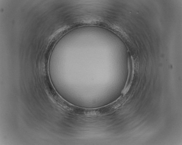 X0000074040587200609111741