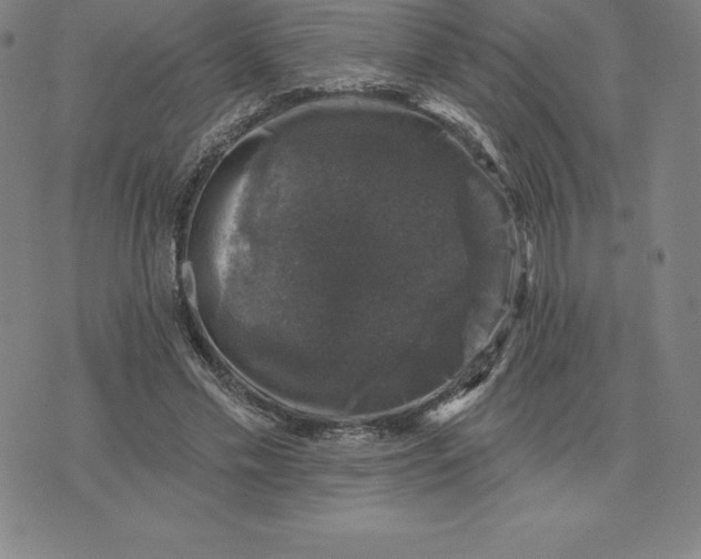 X0000074040589200609111741