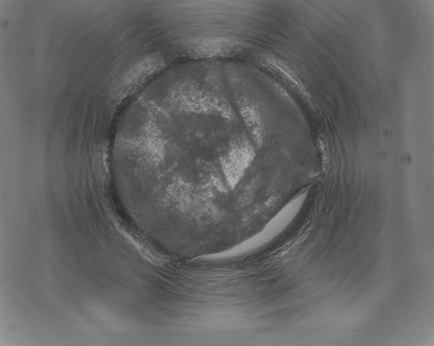 X0000074040590200609111741