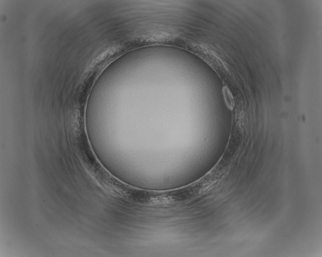 X0000074040591200609111741