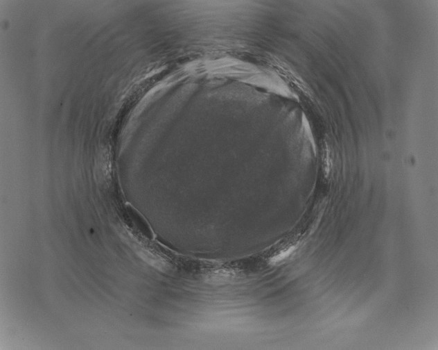 X0000074040593200609111741