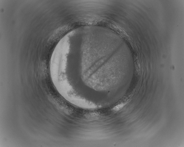 X0000074040594200609111741