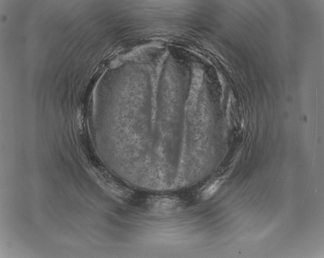 X0000074040597200609111741