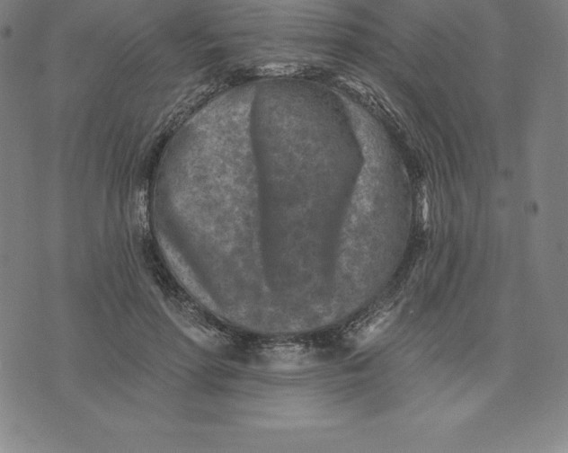 X0000074040598200609111741