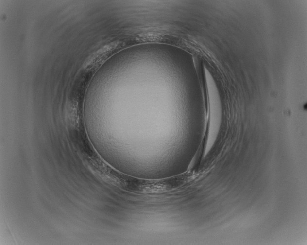 X0000074040599200609111741