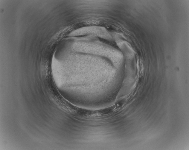 X0000074040600200609111741