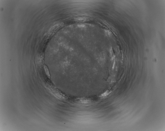 X0000074040601200609111741