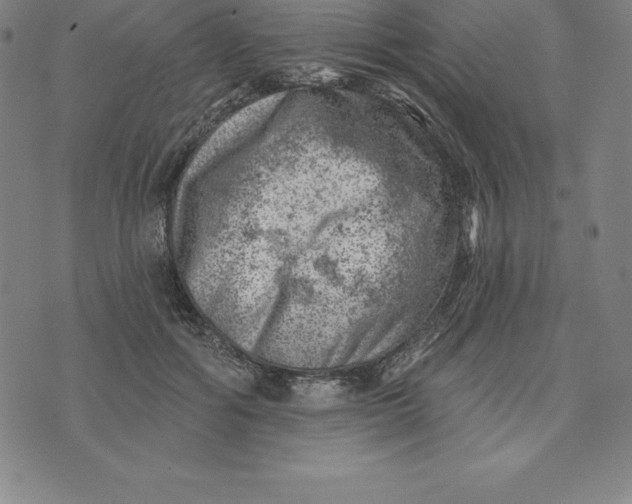 X0000074040602200609111741