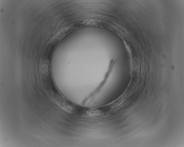 X0000074040603200609111741