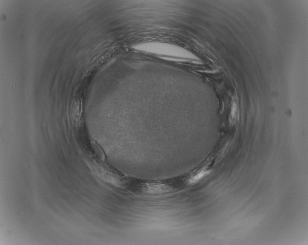 X0000074040605200609111741