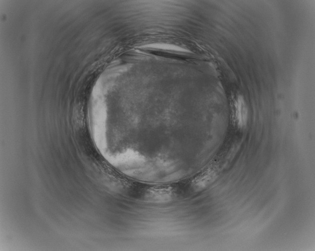 X0000074040606200609111741