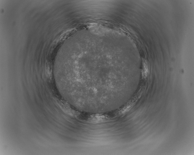 X0000074040607200609111741