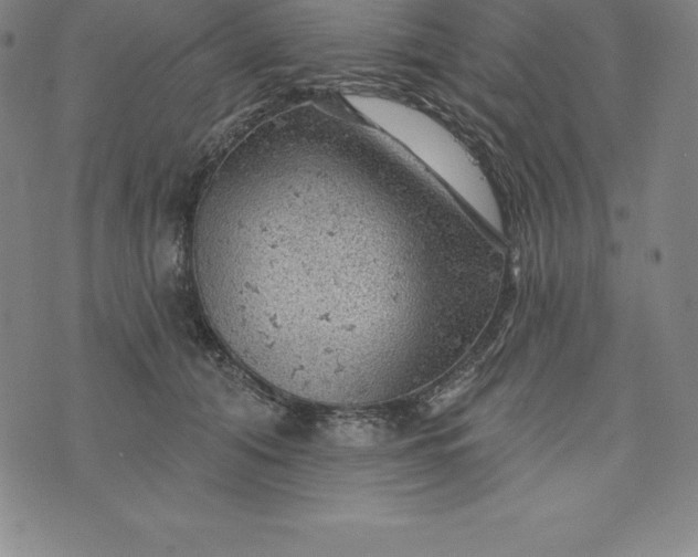 X0000074040608200609111741