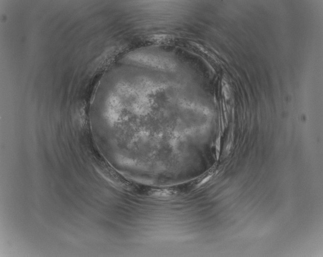 X0000074040611200609111741