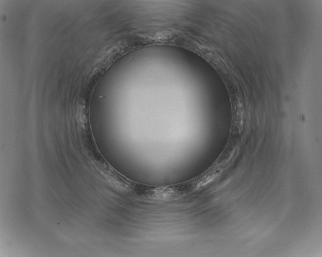 X0000074040612200609111741