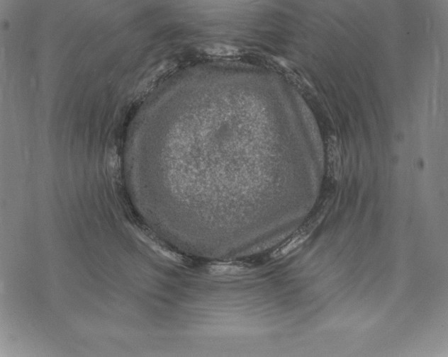 X0000074040614200609111741