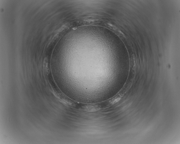 X0000074040615200609111741