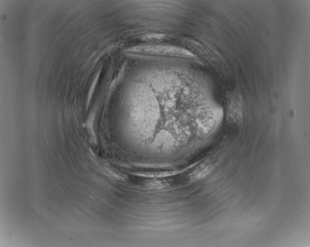 X0000074040616200609111741