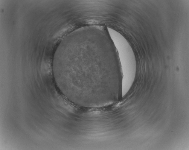 X0000074040620200609111740