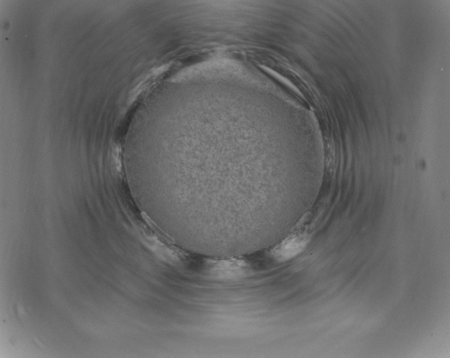 X0000074040621200609111740