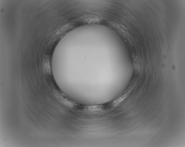 X0000074040622200609111740