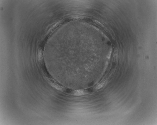 X0000074040623200609111740