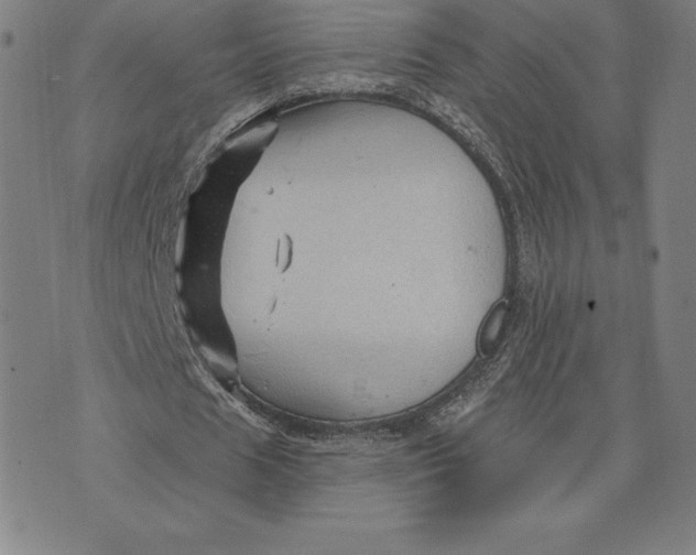 X0000074040625200609111740