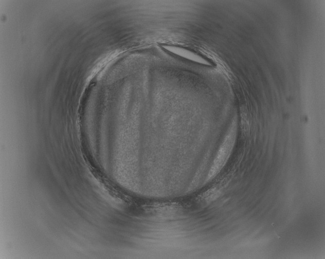 X0000074040626200609111740