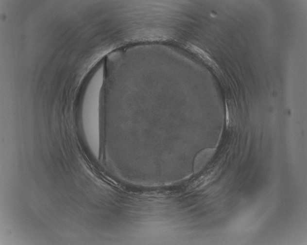 X0000074040627200609111740