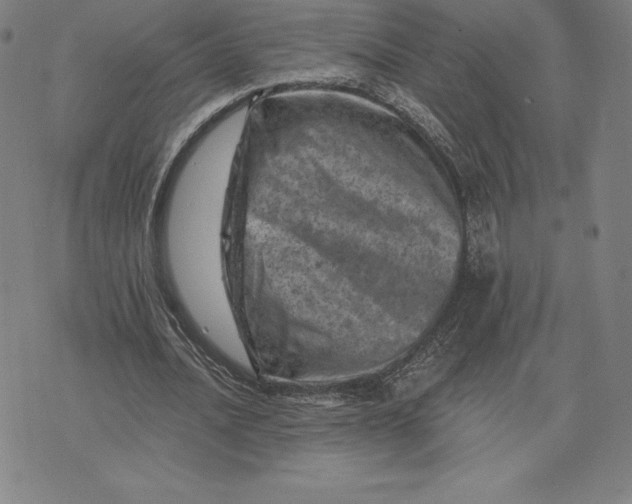 X0000074040628200609111740