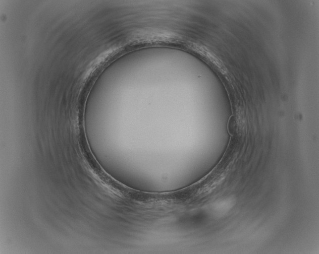 X0000074040629200609111740