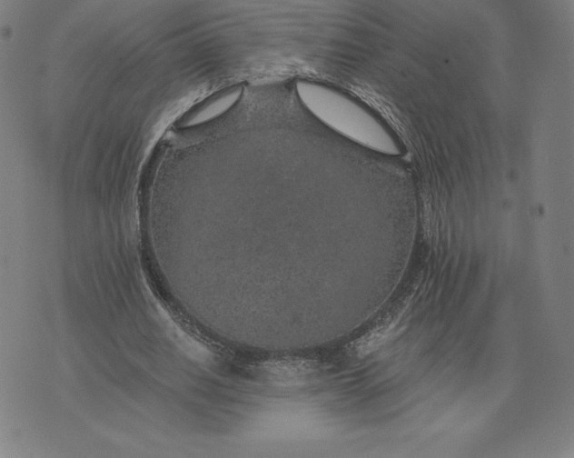 X0000074040630200609111740