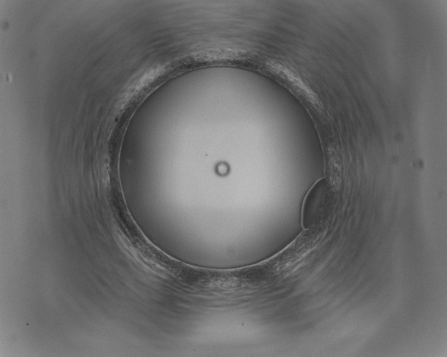 X0000074040631200609111740