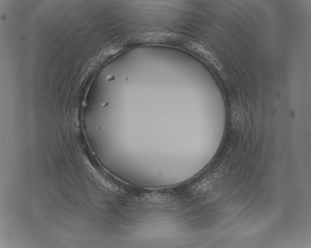 X0000074040633200609111740