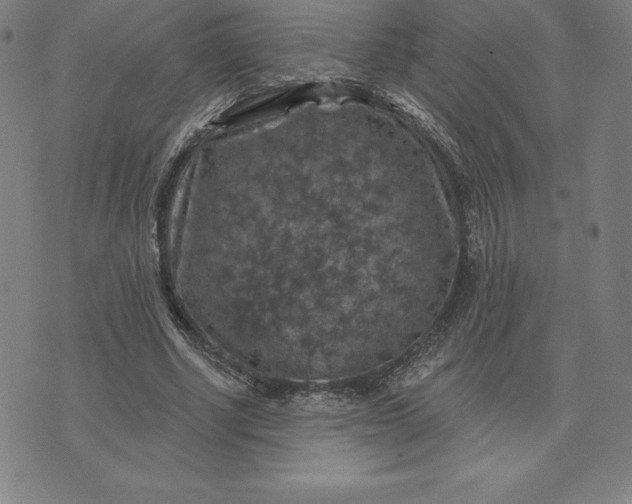 X0000074040634200609111740