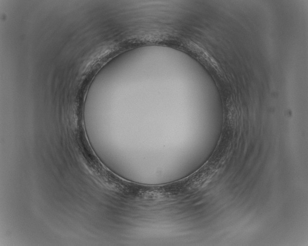 X0000074040635200609111740