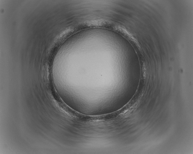 X0000074040637200609111740